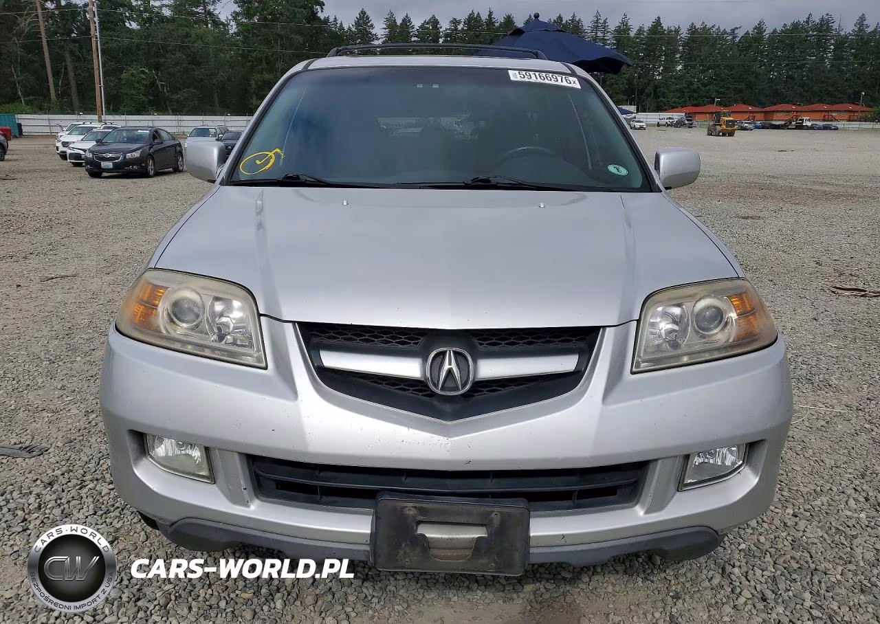 2005 Acura Mdx Touring VIN:2HNYD188X5H554859 - 5