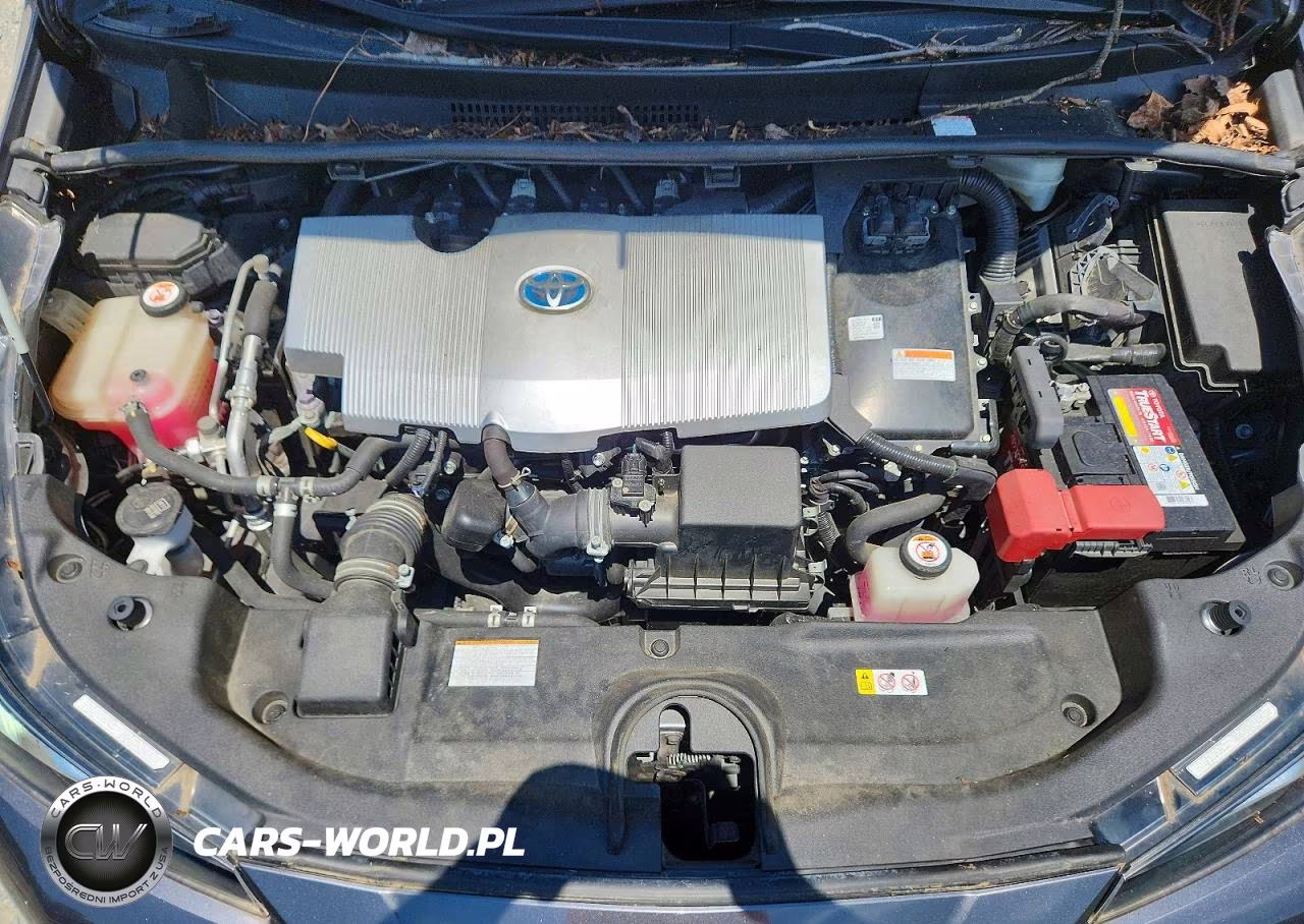 2019 Toyota Prius L Eco VIN:JTDKARFU9K3072904 - 11
