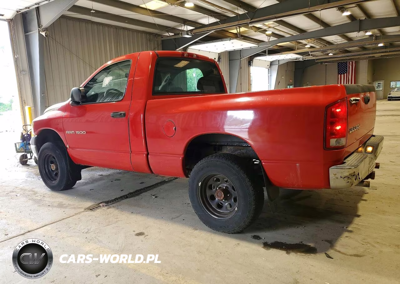2002 Dodge Ram 1500 VIN:1D7HA16N42J219295 - 2
