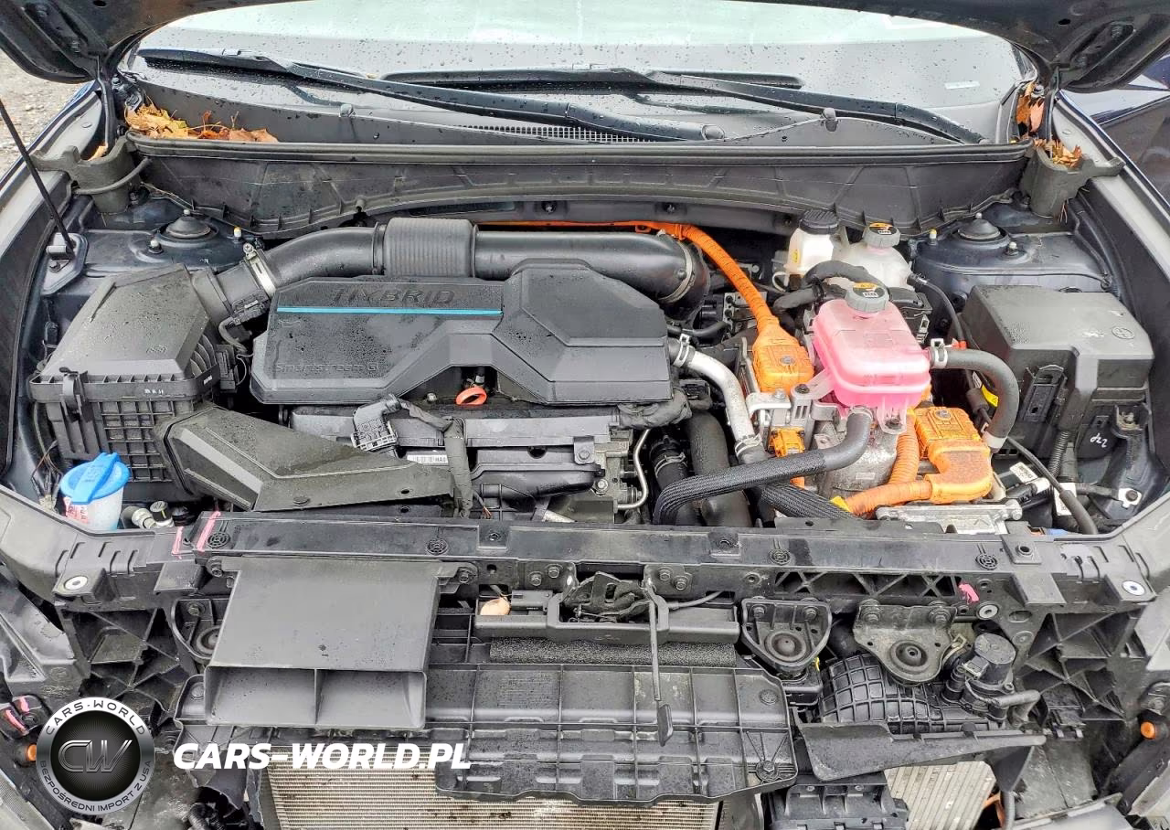 2024 Hyundai Tucson Sel Convenience VIN:KM8JCCD16RU217442 - 12