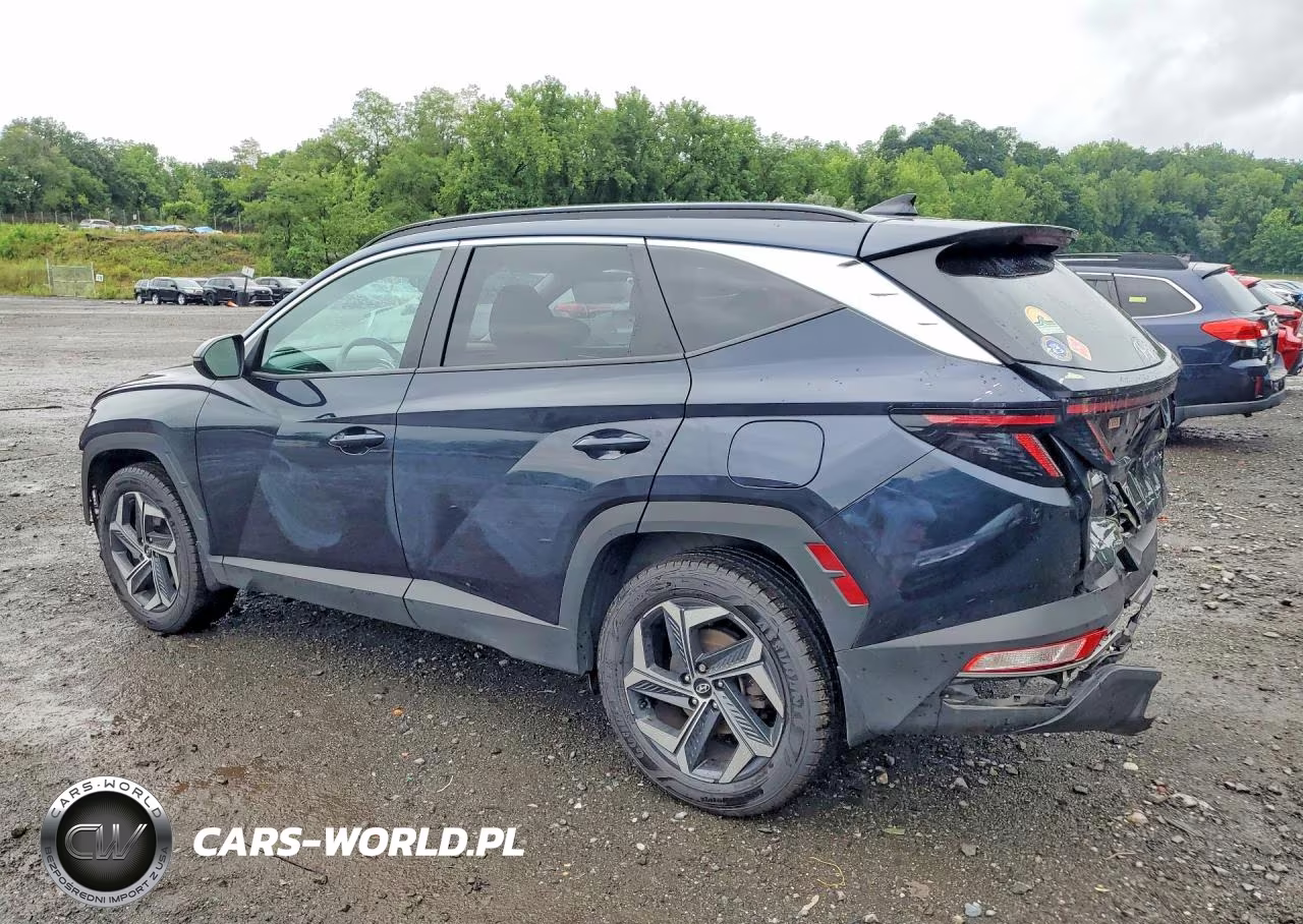 2024 Hyundai Tucson Sel Convenience VIN:KM8JCCD16RU217442 - 2