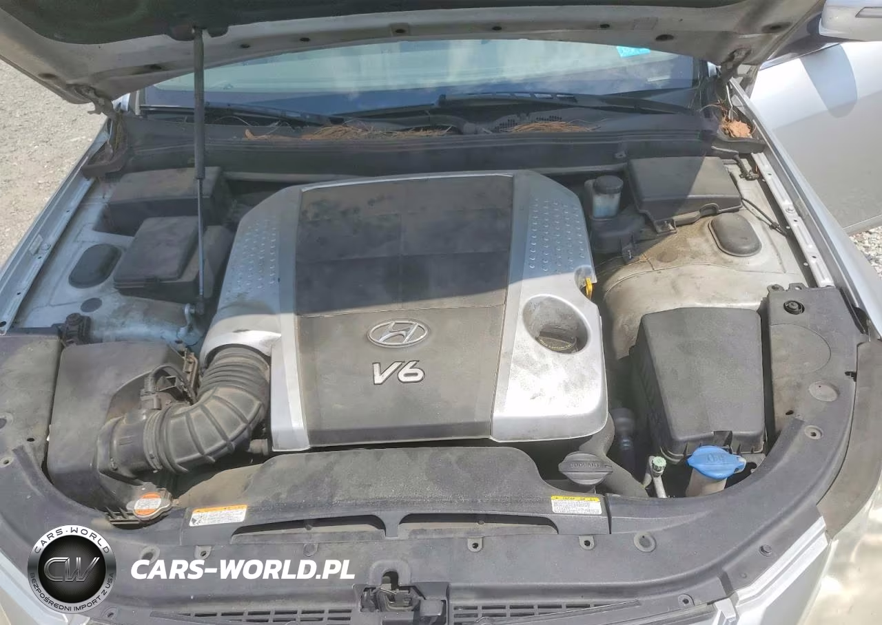 2009 Hyundai Genesis 3.8L VIN:KMHGC46E69U036423 - 11