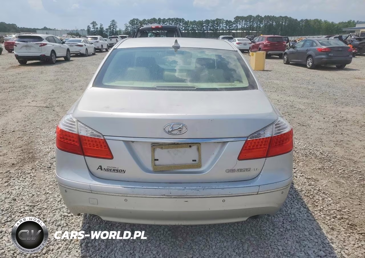 2009 Hyundai Genesis 3.8L VIN:KMHGC46E69U036423 - 6