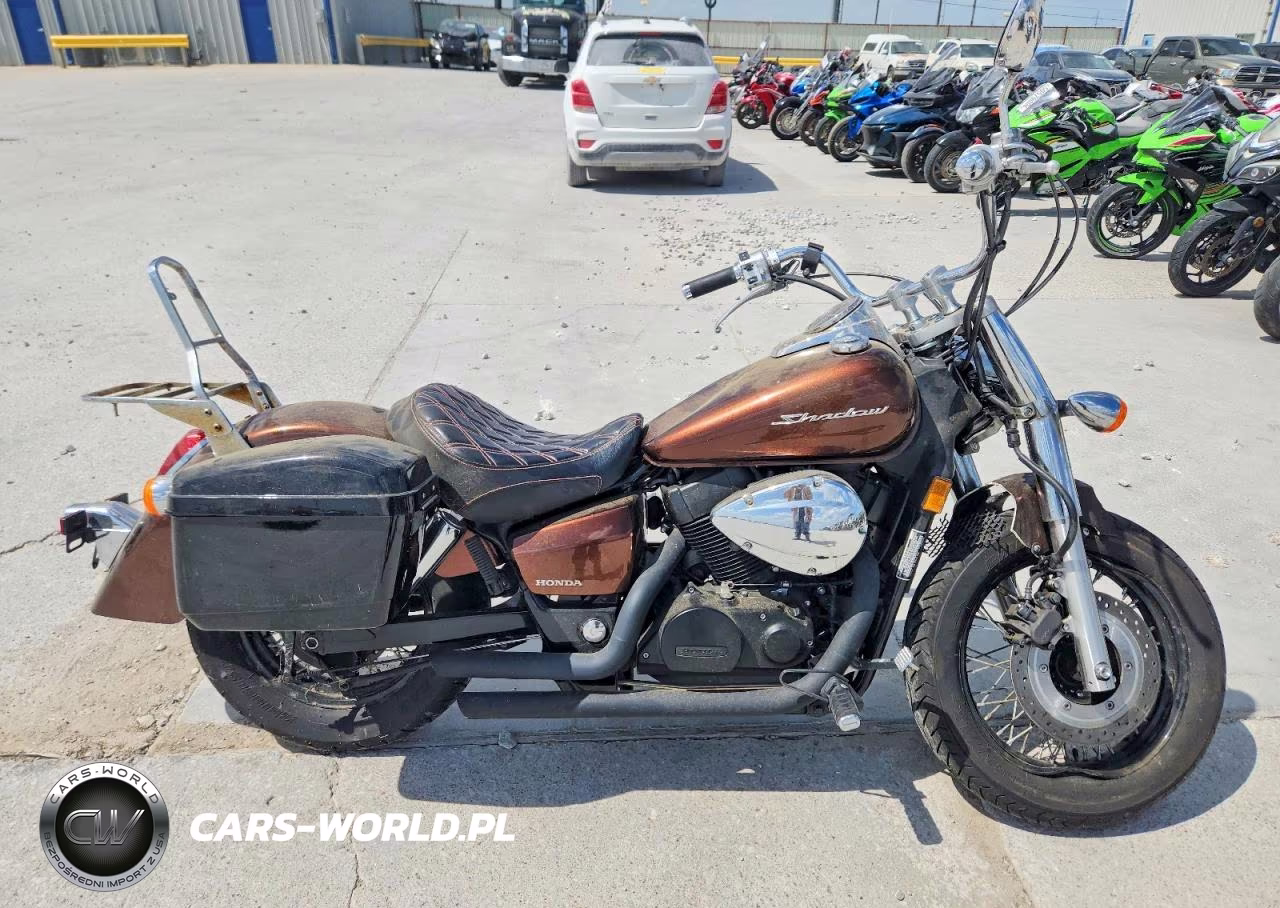 2018 Honda Vt750 C