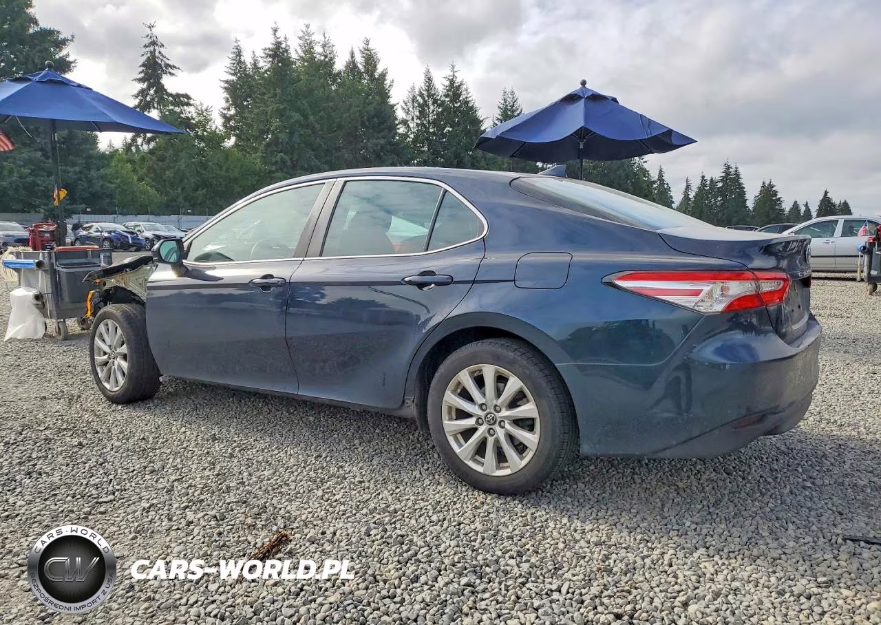 2019 Toyota Camry Le VIN:4T1B11HK3KU787776 - 2