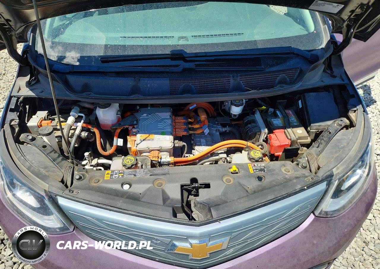 2019 Chevrolet Bolt Ev Premier VIN:1G1FZ6S09K4117533 - 11