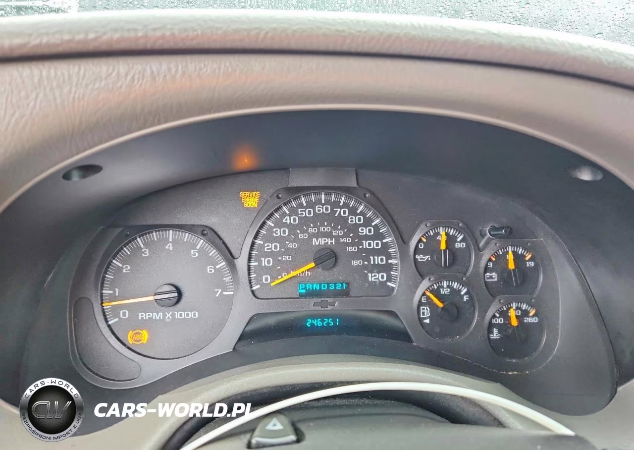 2003 Chevrolet Trailblazer VIN:1GNDT13S532347299 - 9