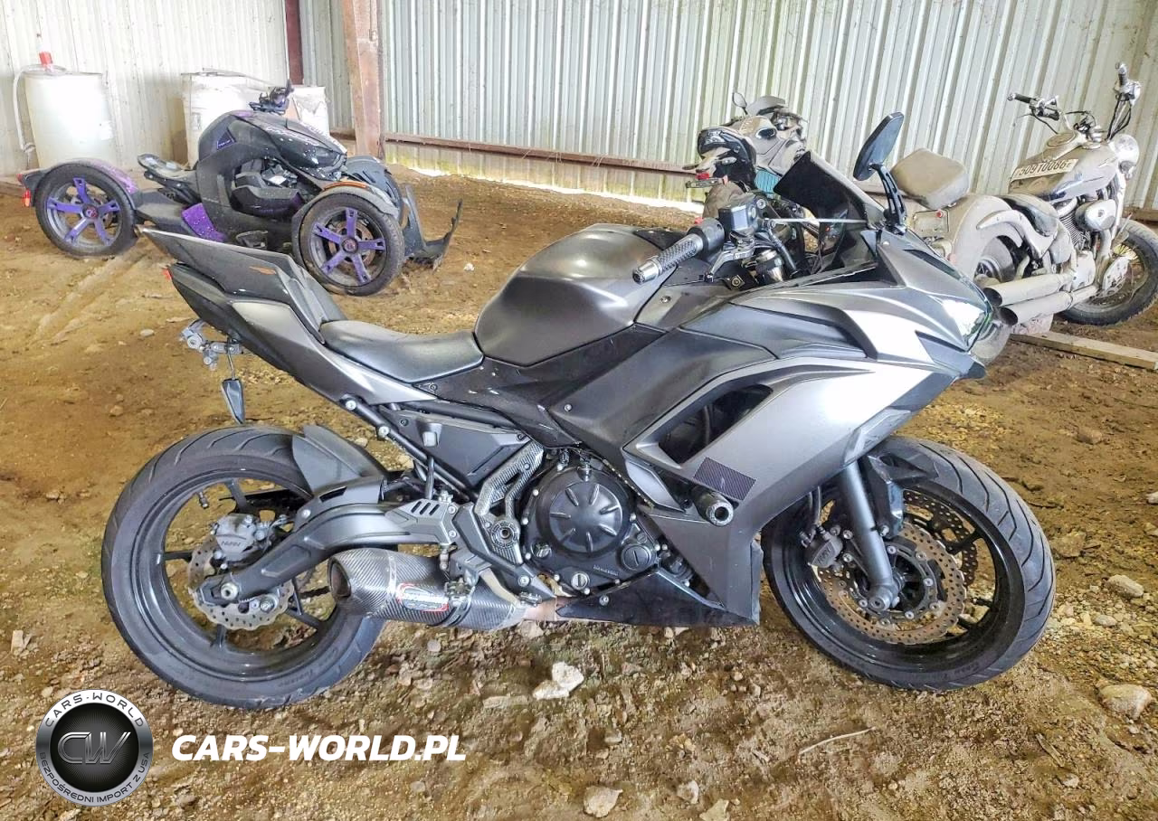 2023 Kawasaki Ex650 R – zdjęcie 1 z 9