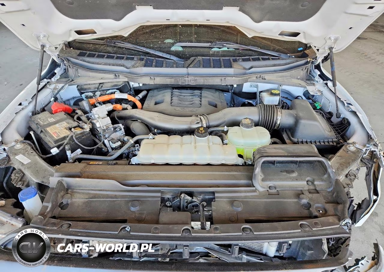 2023 Ford F150 Supercrew VIN:1FTFW1ED9PFB94111 - 11