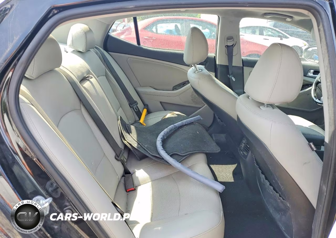 2015 Kia Optima Ex VIN:5XXGN4A75FG422744 - 10