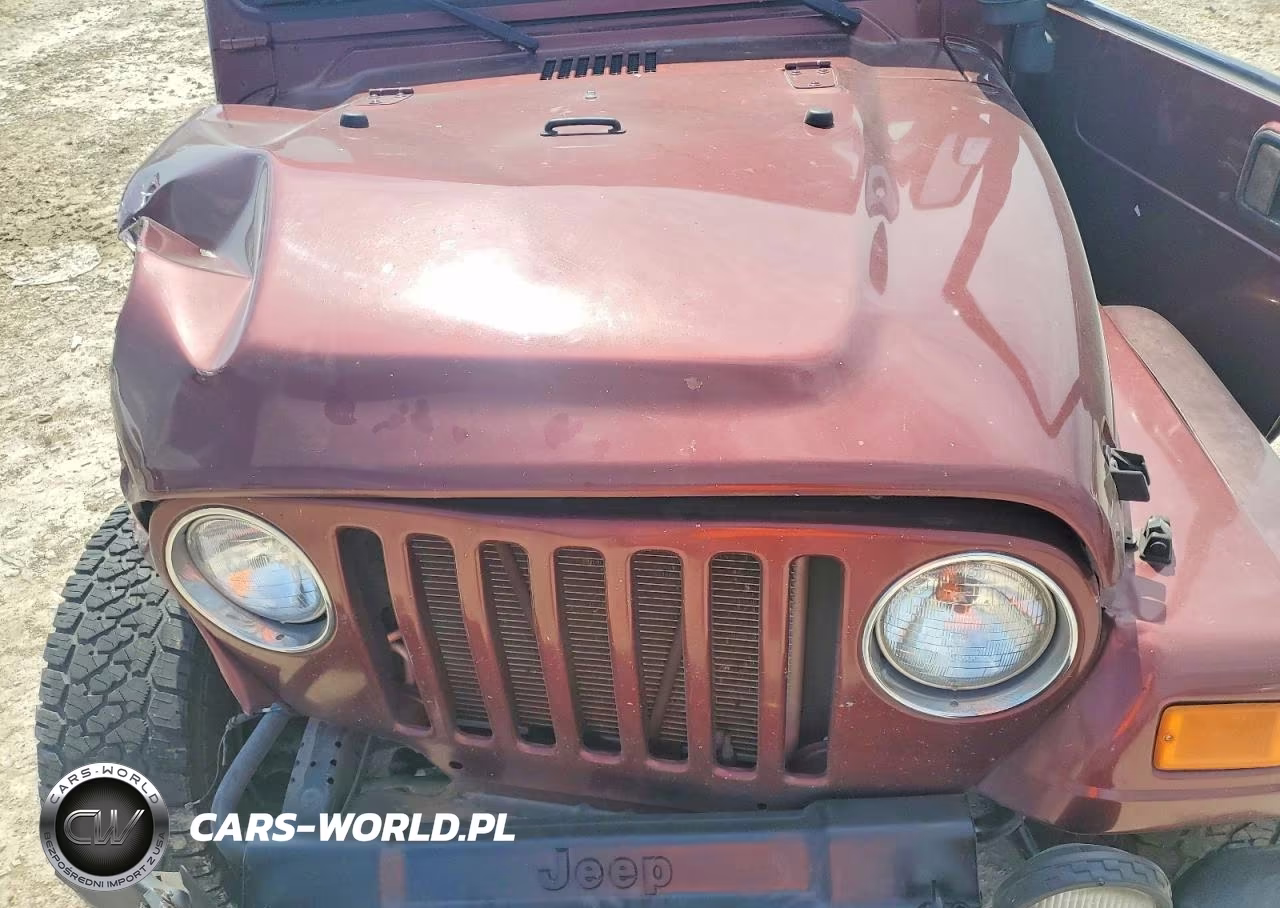 2003 Jeep Wrangler - Tj Sahara VIN:1J4FA59S73P352281 - 11