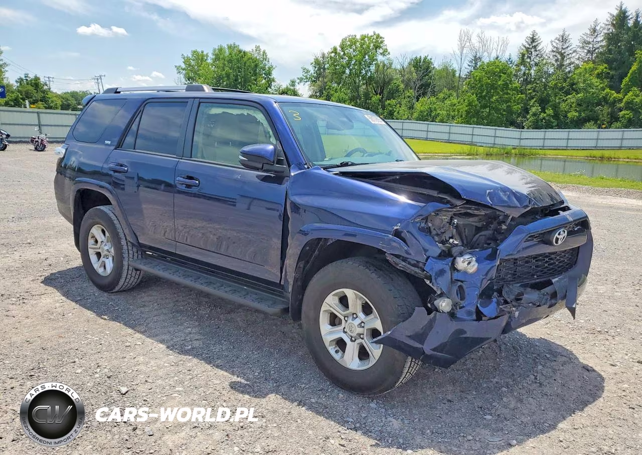 2019 Toyota 4Runner Sr5 Premium VIN:JTEBU5JR3K5618177 - 4