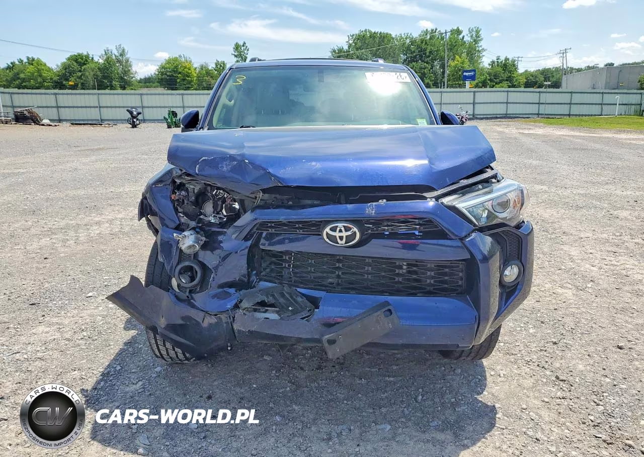 2019 Toyota 4Runner Sr5 Premium VIN:JTEBU5JR3K5618177 - 5
