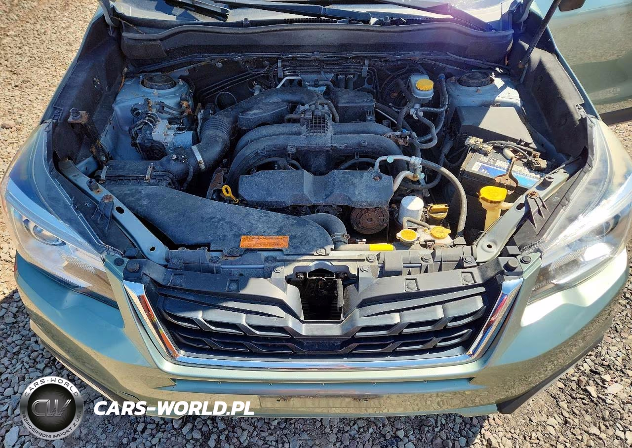 2018 Subaru Forester 2.5I Limited VIN:JF2SJARCXJH527072 - 12