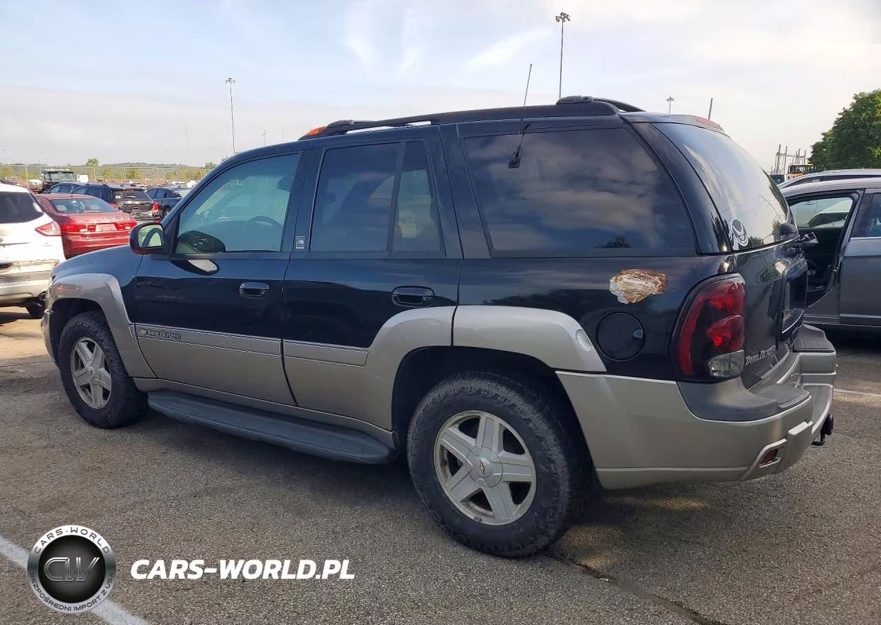 2003 Chevrolet Trailblazer VIN:1GNDT13S132361314 - 2