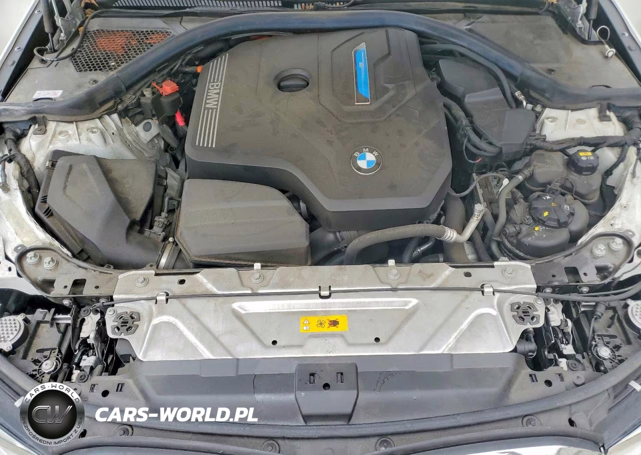 2021 BMW 330E VIN:3MW5P7J06M8B98245 - 11