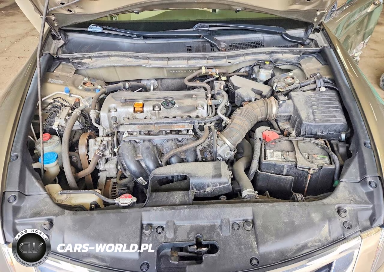 2009 Honda Accord Lx VIN:1HGCP263X9A103702 - 11