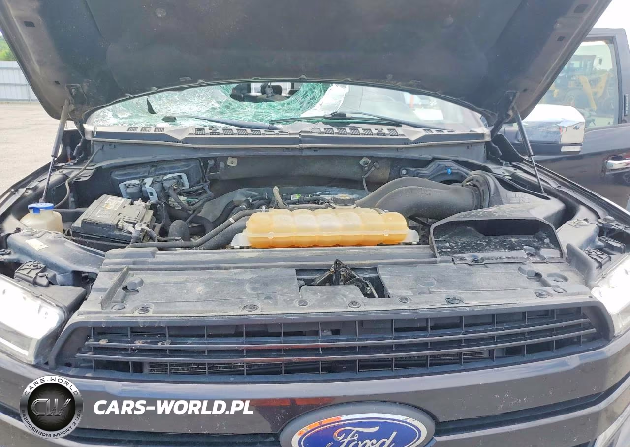 2020 Ford F150 Supercrew VIN:1FTEW1EP6LFB91599 - 11