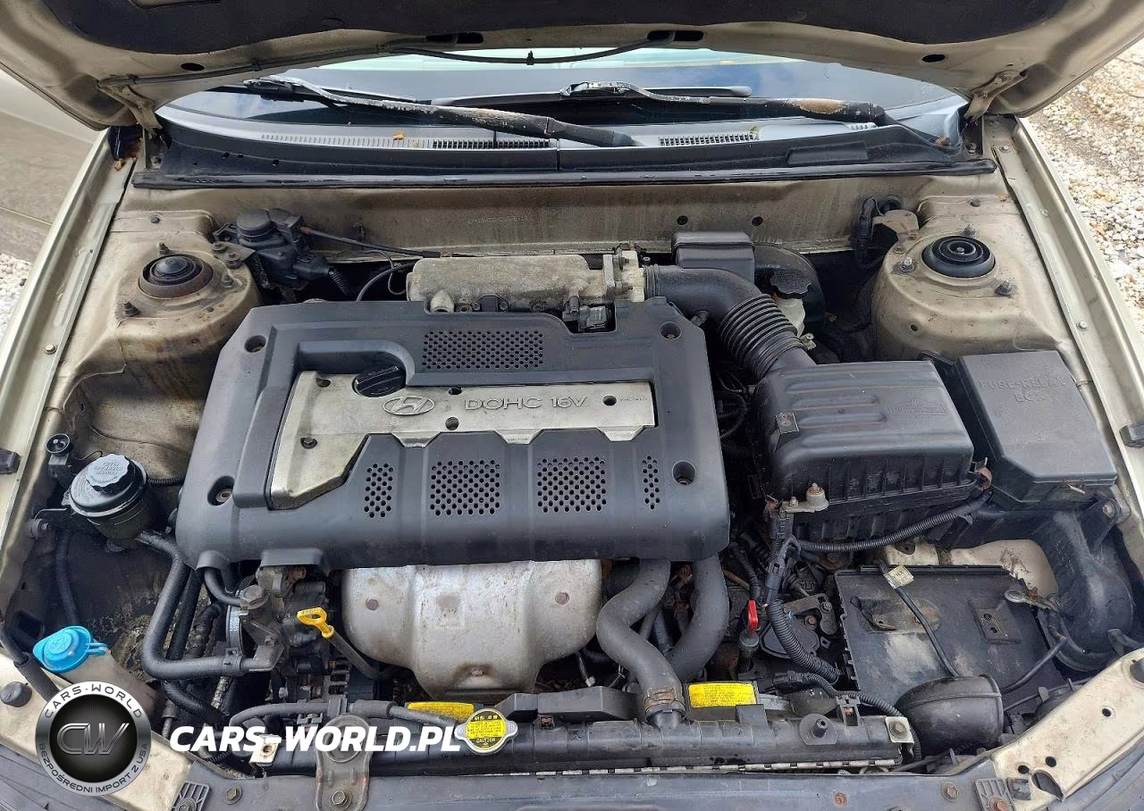 2002 Hyundai Elantra Gls VIN:KMHDN45D42U326719 - 11