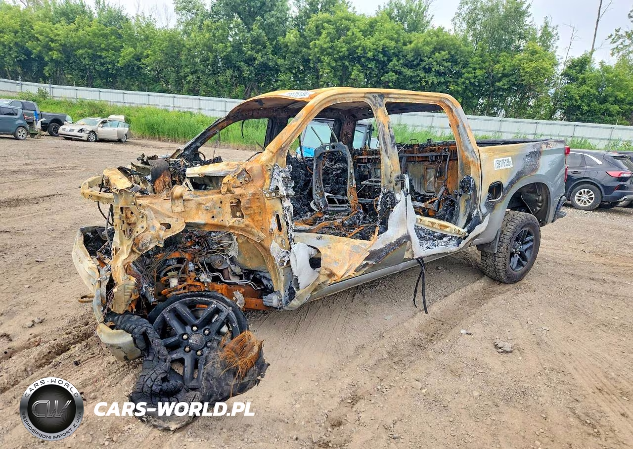 2025 Chevrolet Silverado K1500 Lt Trail Boss VIN:3GCUKFED4SG260779 - 1