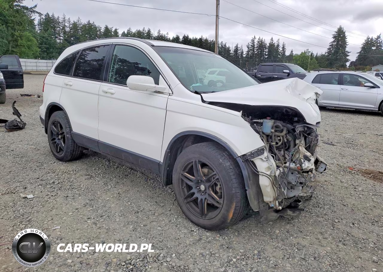 2007 Honda Cr-V Exl VIN:JHLRE48727C084867 - 4