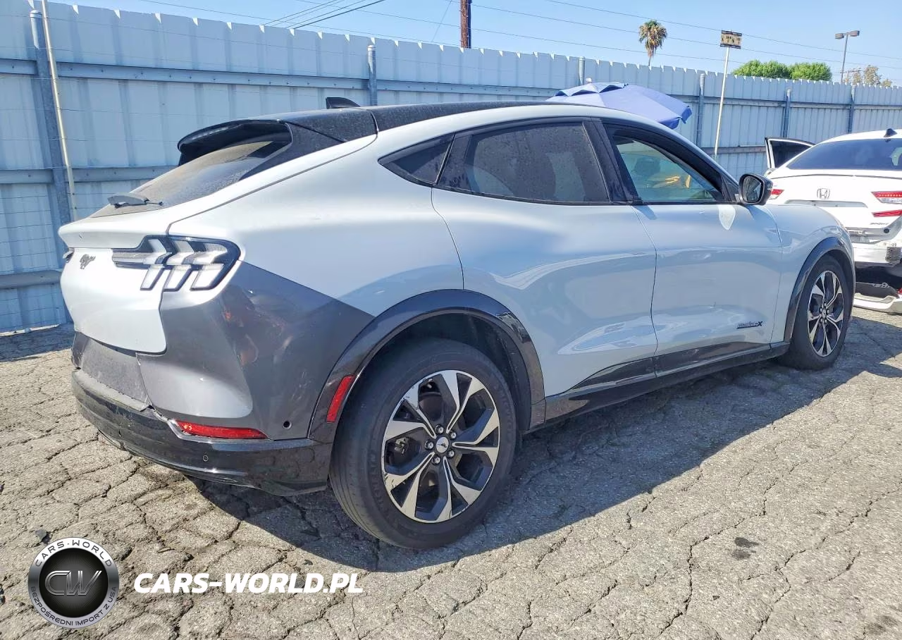 2023 Ford Mustang Mach-E Premium VIN:3FMTK3SU8PMA97766 - 3