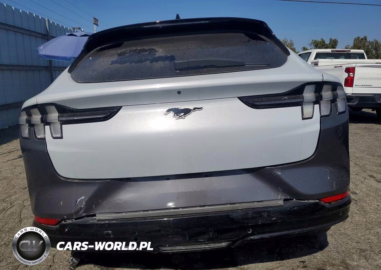 2023 Ford Mustang Mach-E Premium VIN:3FMTK3SU8PMA97766 - 6