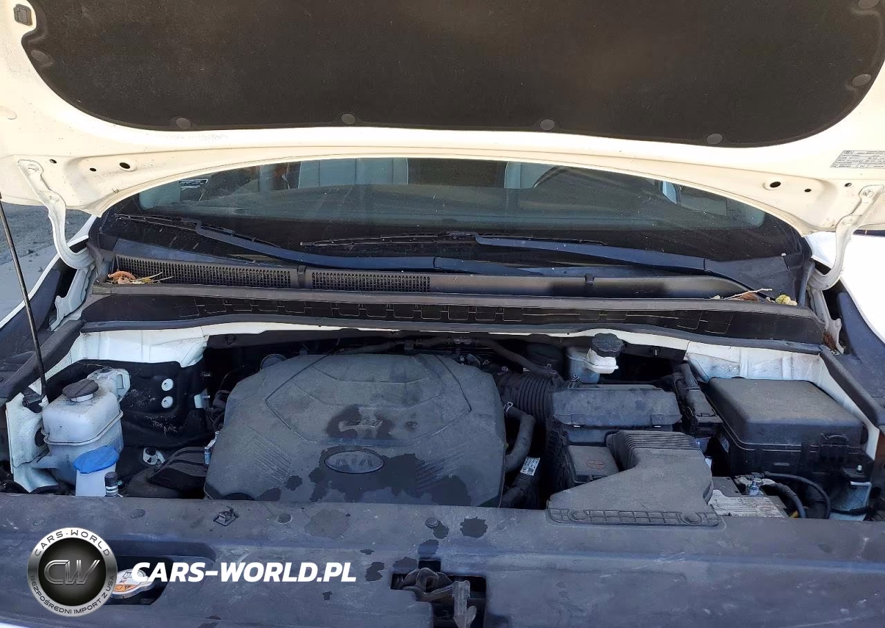 2021 Kia Sedona Ex VIN:KNDMB5C10M6673418 - 12