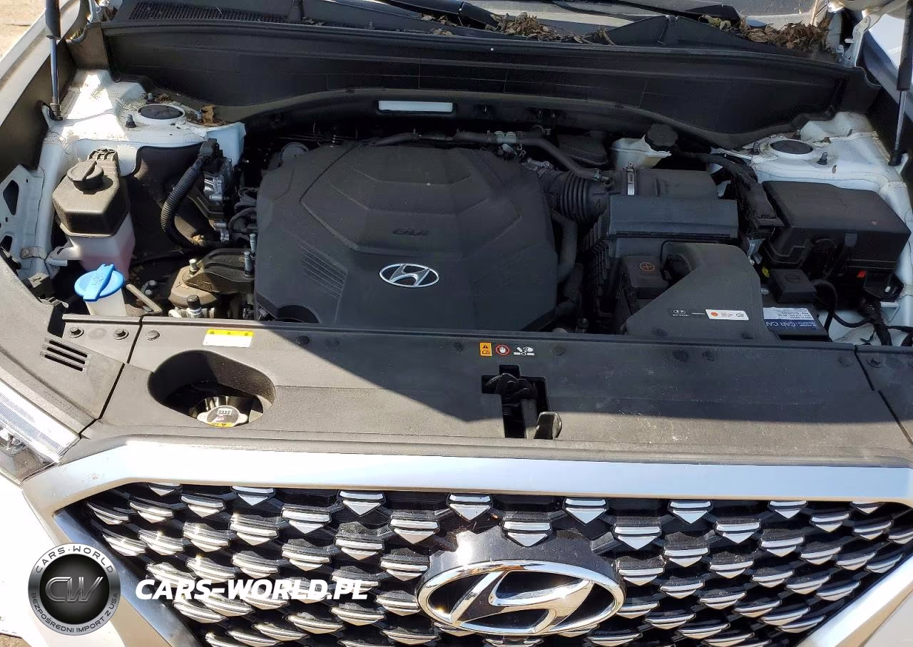 2021 Hyundai Palisade Calligraphy VIN:KM8R7DHE4MU295186 - 12