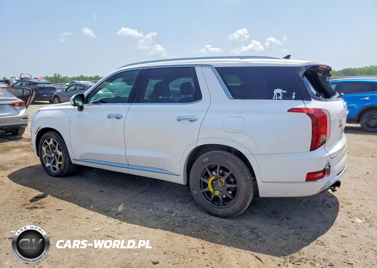 2021 Hyundai Palisade Calligraphy VIN:KM8R7DHE4MU295186 - 2