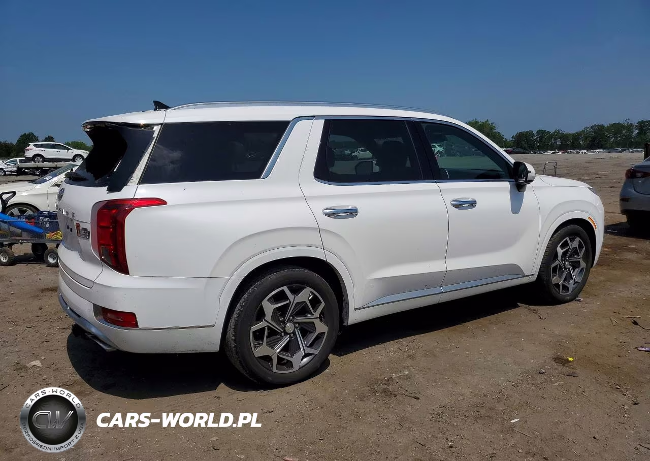 2021 Hyundai Palisade Calligraphy VIN:KM8R7DHE4MU295186 - 3