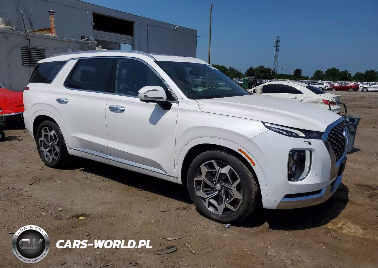 2021 Hyundai Palisade Calligraphy VIN:KM8R7DHE4MU295186 - 4
