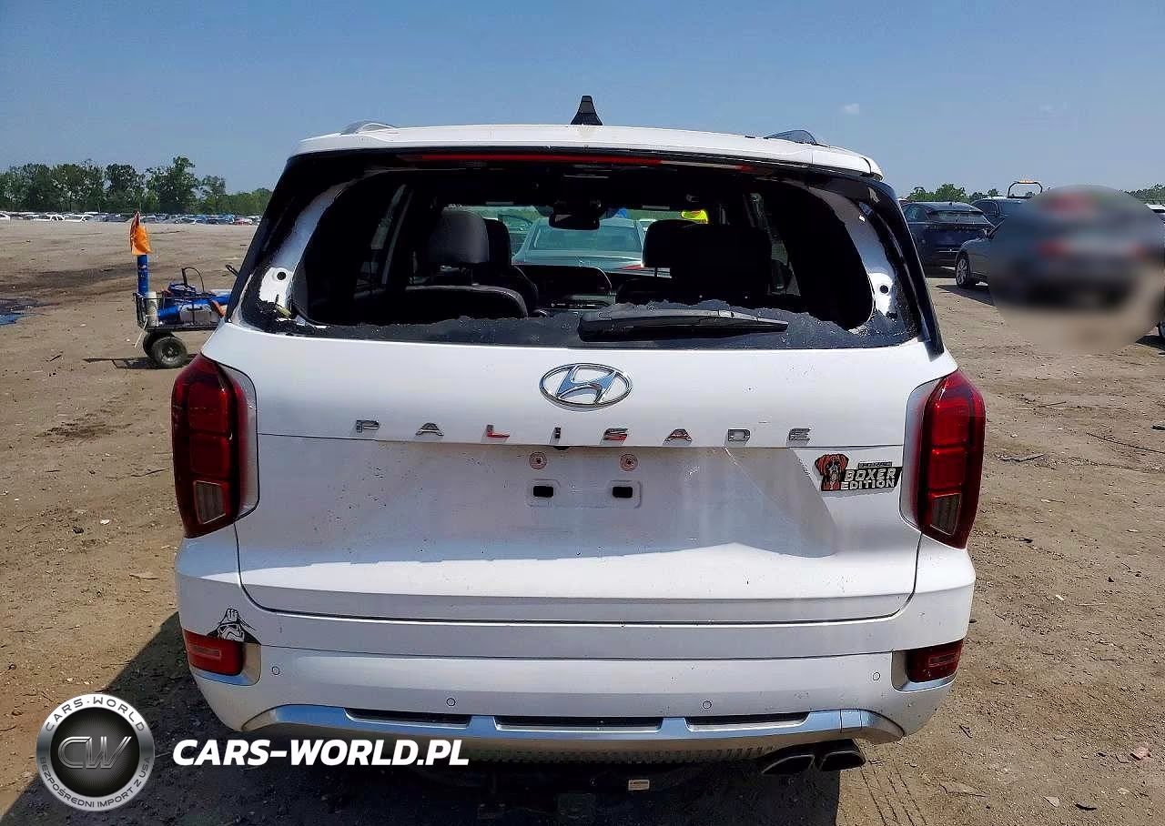 2021 Hyundai Palisade Calligraphy VIN:KM8R7DHE4MU295186 - 6