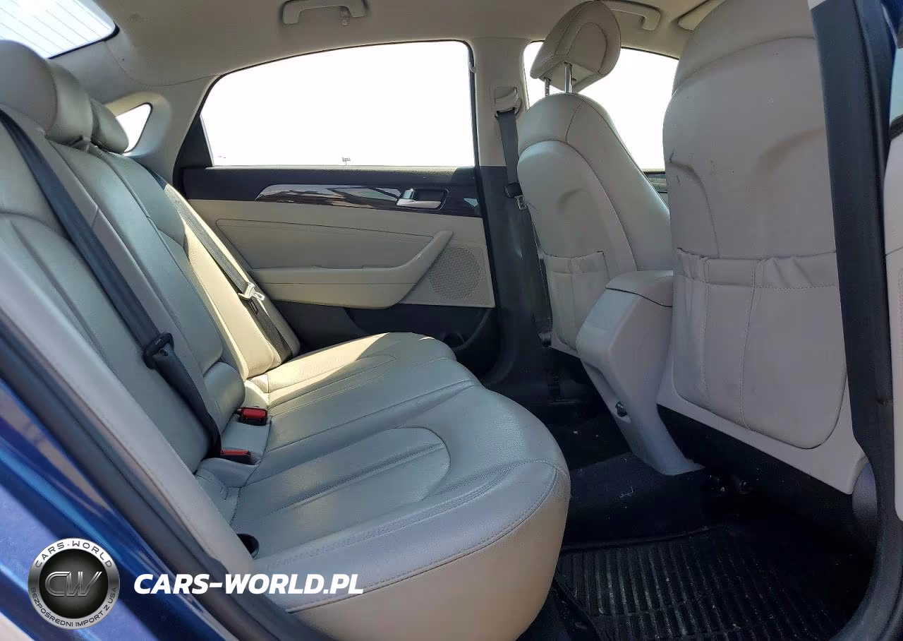 2015 Hyundai Sonata Eco VIN:5NPE24AA4FH126940 - 10