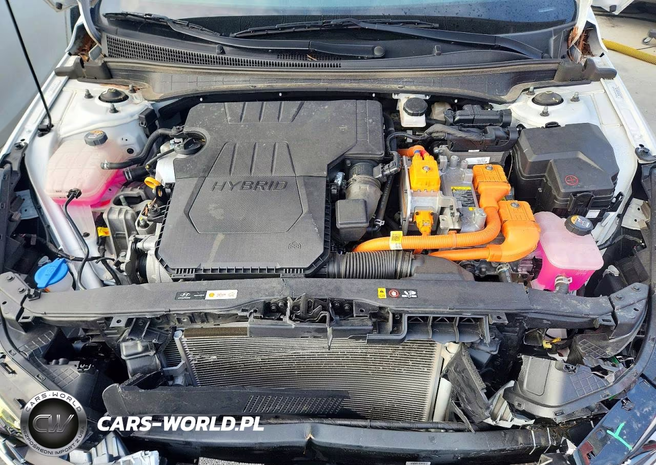 2021 Hyundai Elantra Limited VIN:KMHLN4AJ6MU003704 - 11