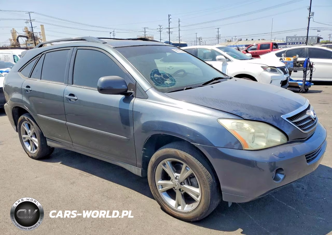 2006 Lexus Rx 400 VIN:JTJHW31UX60046445 - 4