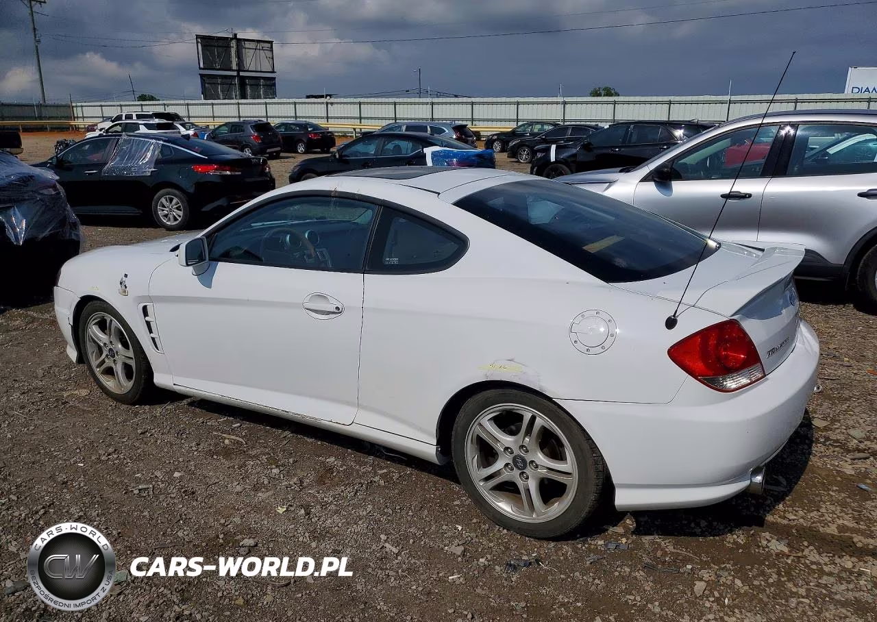 2006 Hyundai Tiburon Gt VIN:KMHHN65F06U225519 - 2