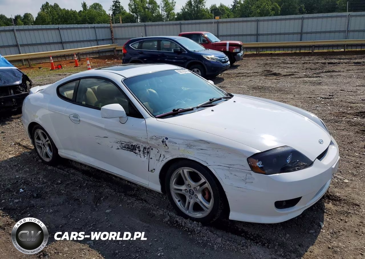 2006 Hyundai Tiburon Gt VIN:KMHHN65F06U225519 - 4