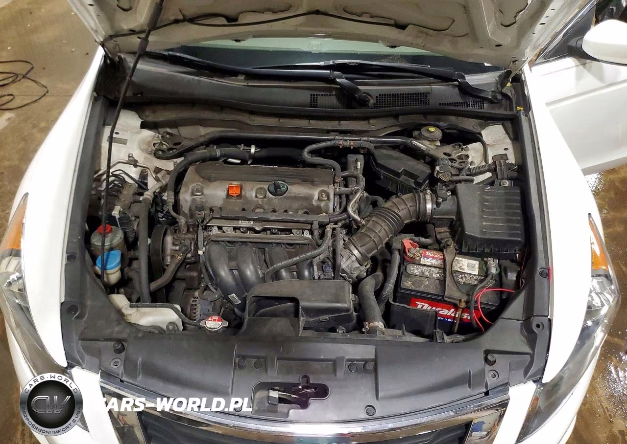 2010 Honda Accord Ex VIN:1HGCP2F7XAA019838 - 11