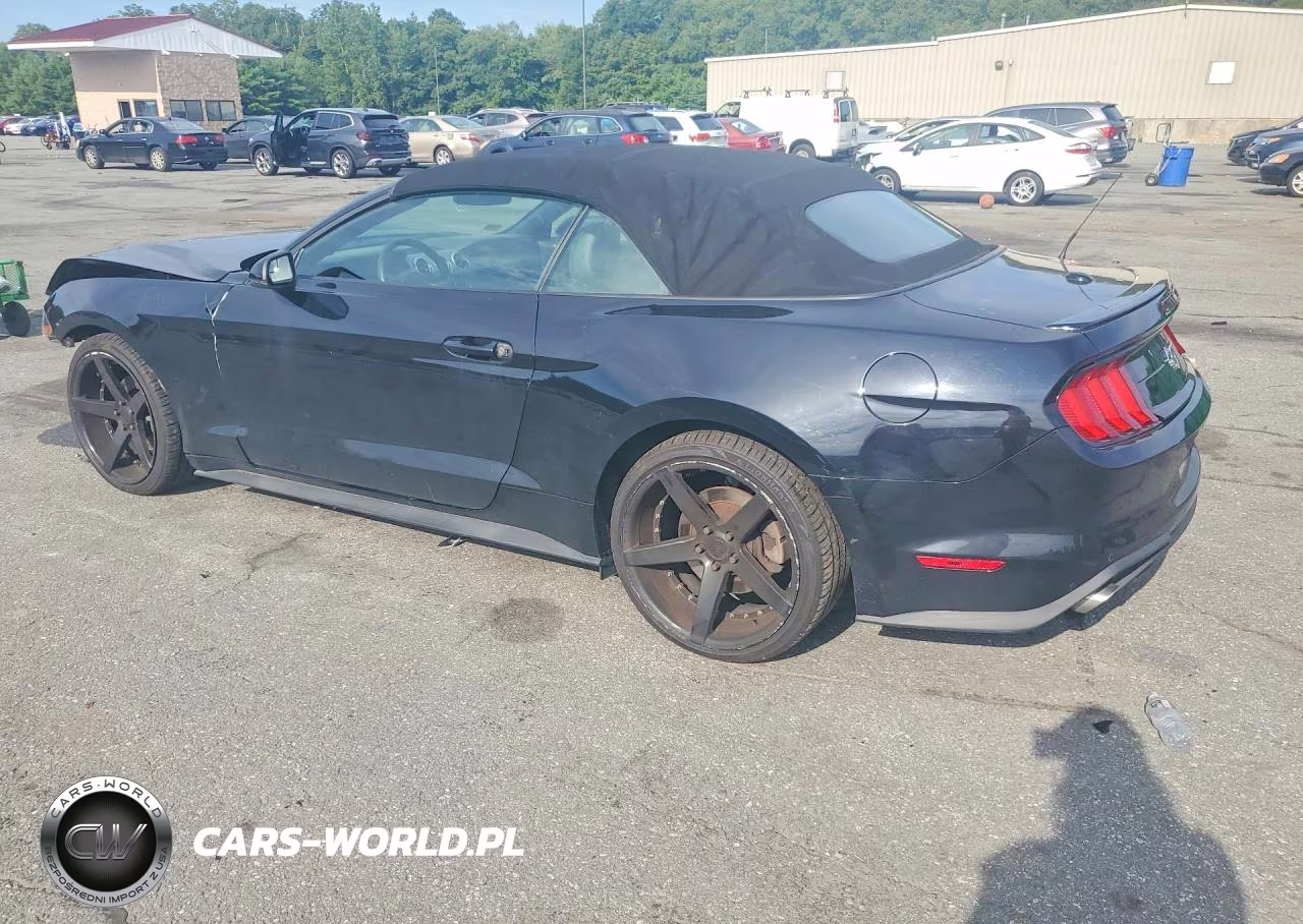 2018 Ford Mustang VIN:1FATP8UH0J5167671 - 2