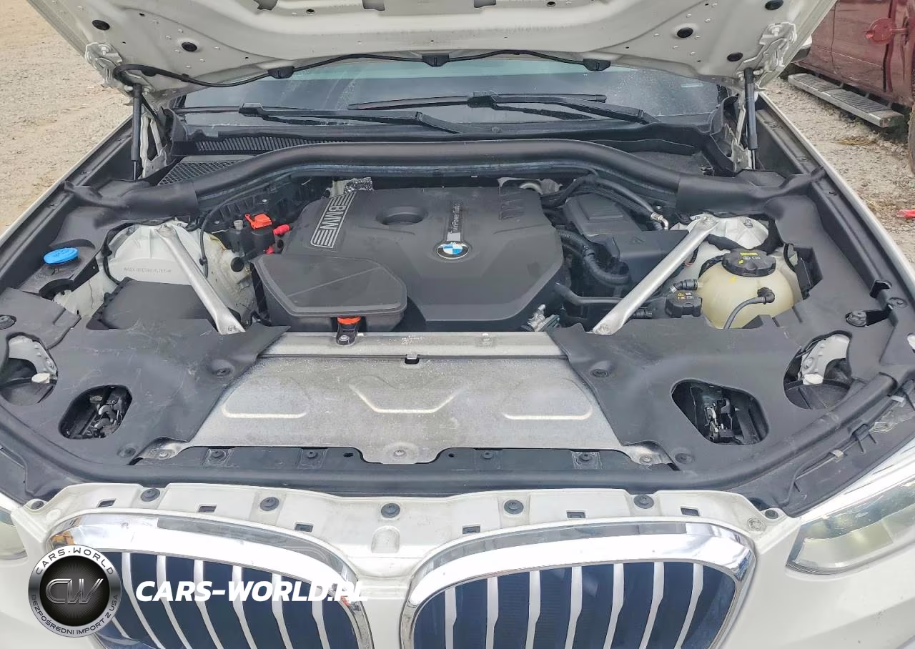 2019 BMW X3 Sdrive30I VIN:5UXTR7C50KLR43816 - 12