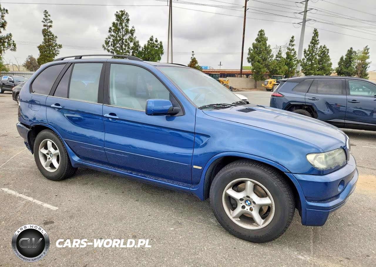 2002 BMW X5 3.0I VIN:5UXFA53582LP33005 - 4