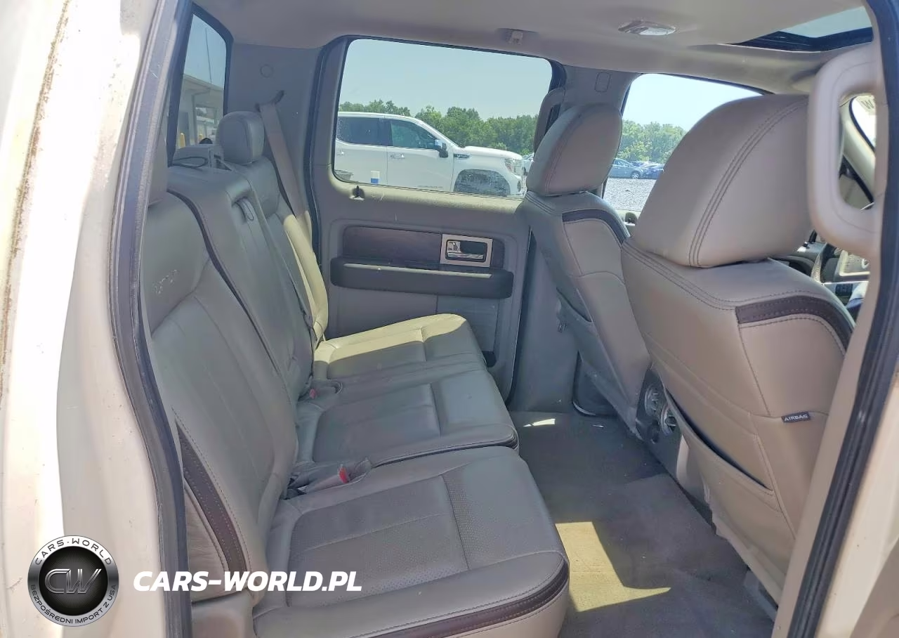 2009 Ford F150 Supercrew VIN:1FTPW14V29FA28823 - 10