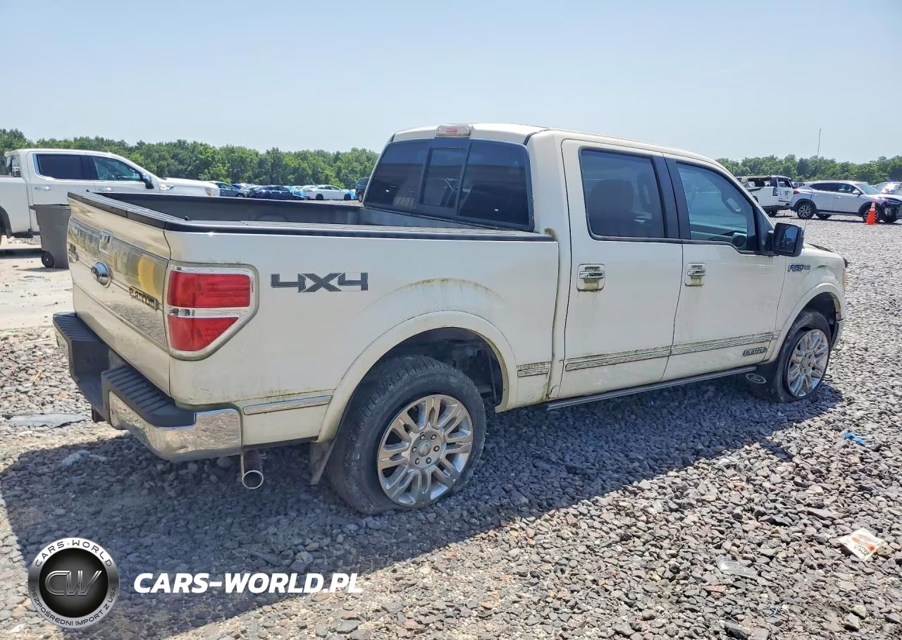 2009 Ford F150 Supercrew VIN:1FTPW14V29FA28823 - 3