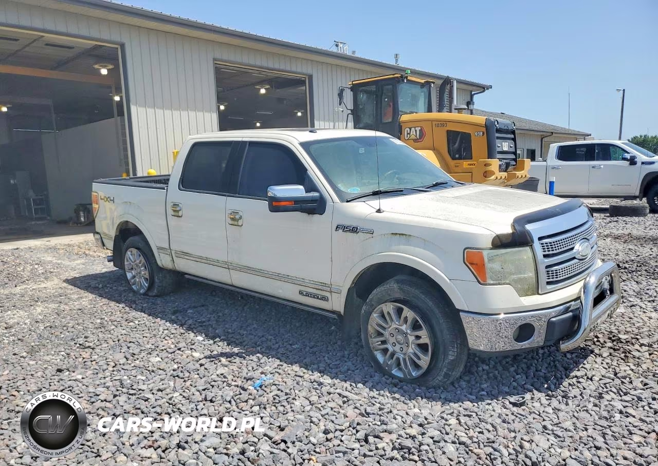 2009 Ford F150 Supercrew VIN:1FTPW14V29FA28823 - 4