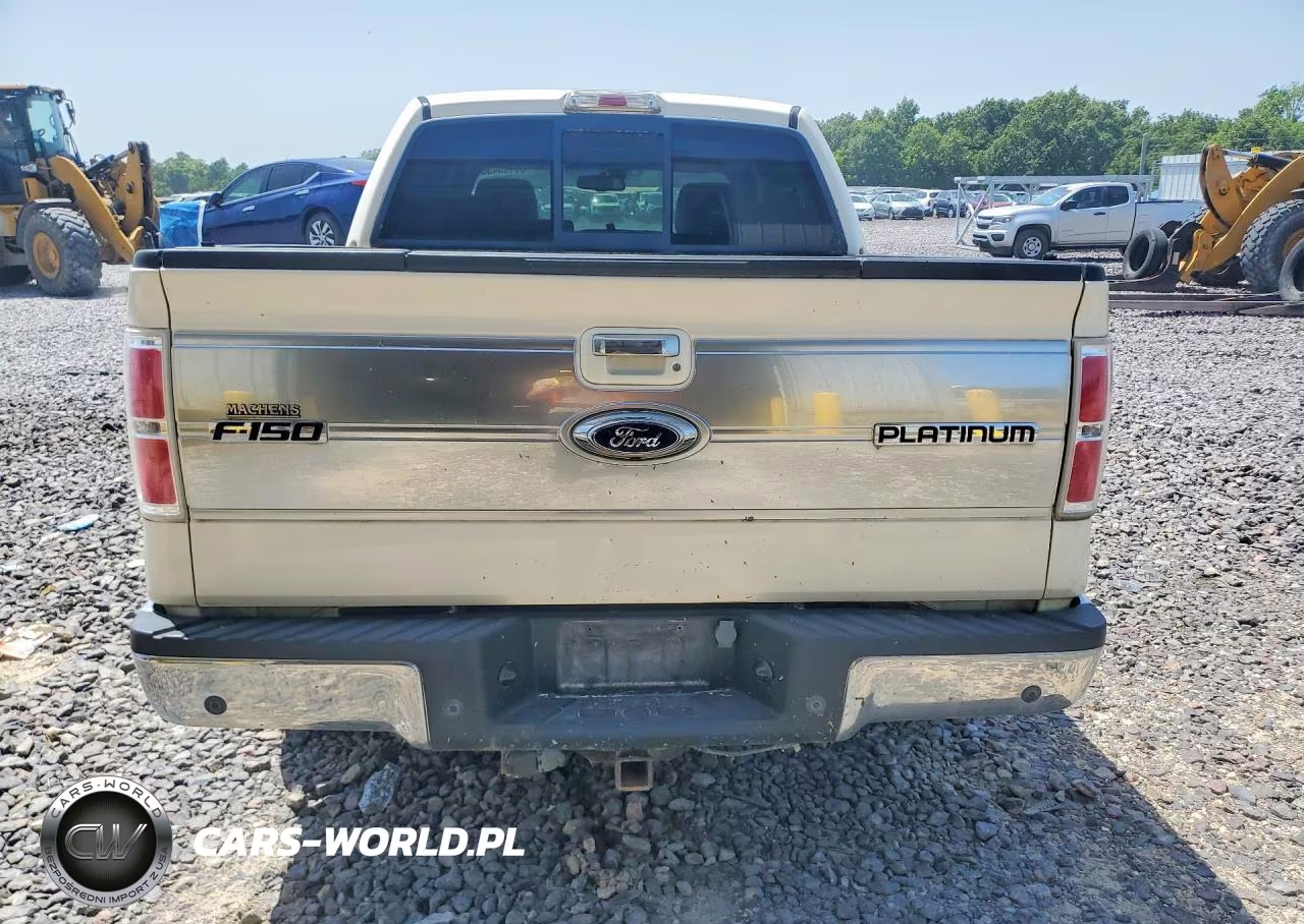2009 Ford F150 Supercrew VIN:1FTPW14V29FA28823 - 6