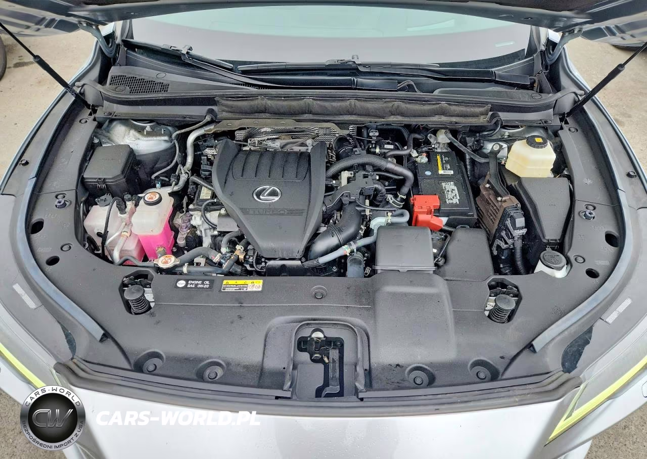 2024 Lexus Rx 350 Luxury VIN:2T2BAMCA6RC046349 - 12