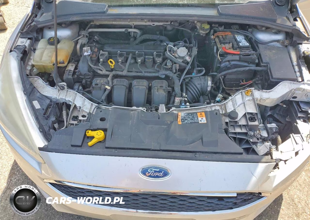 2015 Ford Focus Se VIN:1FADP3F25FL373961 - 11