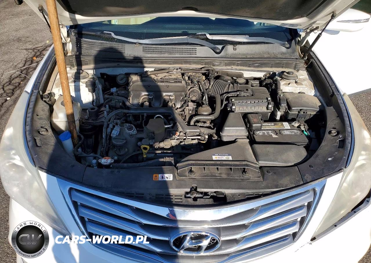 2014 Hyundai Azera Limited VIN:KMHFH4JG3EA383774 - 11