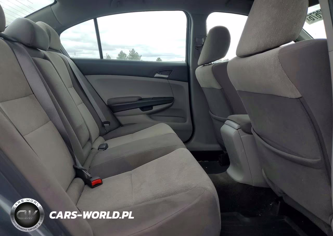 2010 Honda Accord Lxp VIN:1HGCP2F4XAA195407 - 10